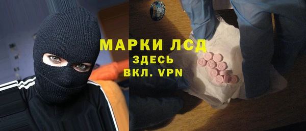 стаф Новозыбков